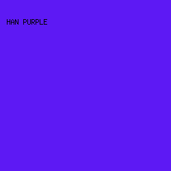 5D19F4 - Han Purple color image preview