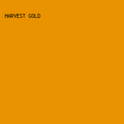 E99300 - Harvest Gold color image preview