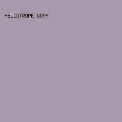 A699AA - Heliotrope Gray color image preview