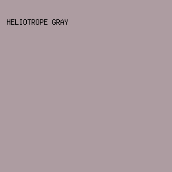 AD9CA1 - Heliotrope Gray color image preview
