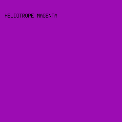 9C0CB3 - Heliotrope Magenta color image preview