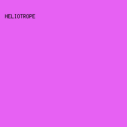 e761f3 - Heliotrope color image preview