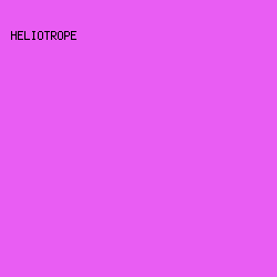 e95df3 - Heliotrope color image preview