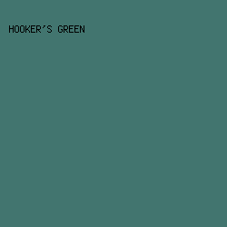 42756f - Hooker's Green color image preview