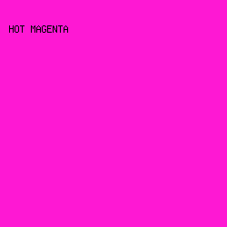 FE18D3 - Hot Magenta color image preview