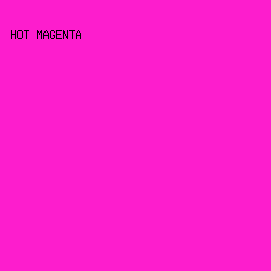 fd1dcd - Hot Magenta color image preview