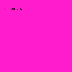 fe1ccc - Hot Magenta color image preview