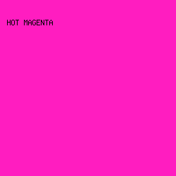 ff1dc0 - Hot Magenta color image preview