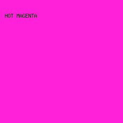 ff21d9 - Hot Magenta color image preview