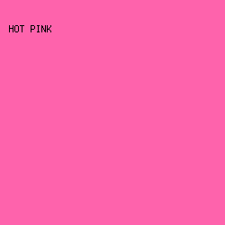 FE63AC - Hot Pink color image preview