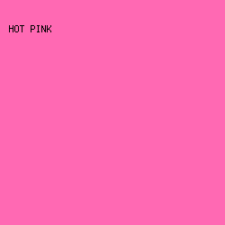 FF69B3 - Hot Pink color image preview