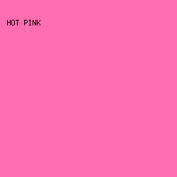 FF6EB1 - Hot Pink color image preview