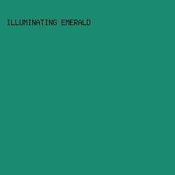1A8B71 - Illuminating Emerald color image preview