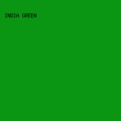 0A9512 - India Green color image preview