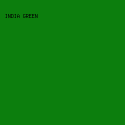 0C7E0D - India Green color image preview