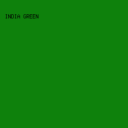 0e810c - India Green color image preview
