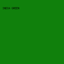 10800C - India Green color image preview