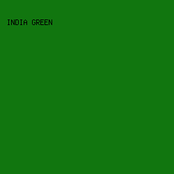11760f - India Green color image preview
