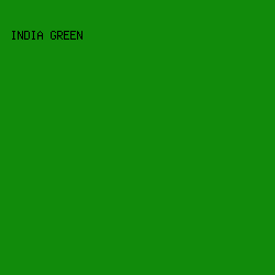 118B0B - India Green color image preview