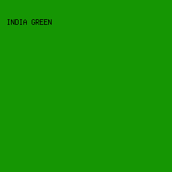 159603 - India Green color image preview