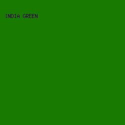 187b00 - India Green color image preview