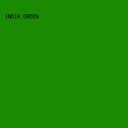1A8A02 - India Green color image preview