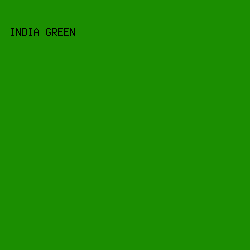 1b8e01 - India Green color image preview
