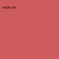 CE5B5D - Indian Red color image preview