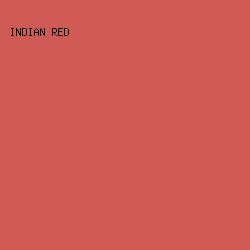 D05B55 - Indian Red color image preview