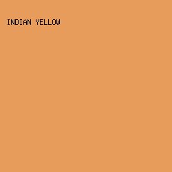 E89C5B - Indian Yellow color image preview