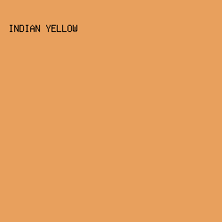 e8a05d - Indian Yellow color image preview