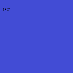 424CD5 - Iris color image preview