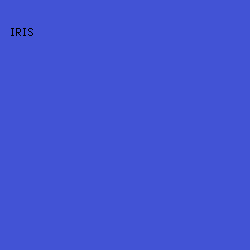 4253D5 - Iris color image preview