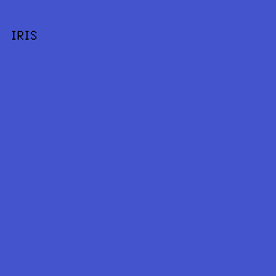 4354cc - Iris color image preview