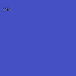 4552C4 - Iris color image preview