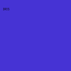 4633D4 - Iris color image preview