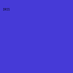 463AD7 - Iris color image preview