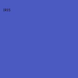 4B5AC0 - Iris color image preview