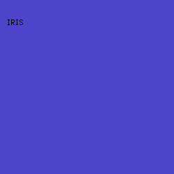 4E43CB - Iris color image preview
