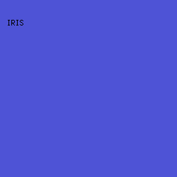 4E53D6 - Iris color image preview