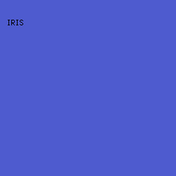 4E5BCF - Iris color image preview
