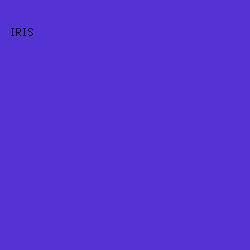 5432D3 - Iris color image preview