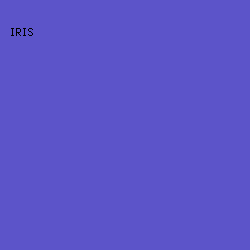 5C54C9 - Iris color image preview