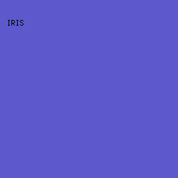 5D59CC - Iris color image preview
