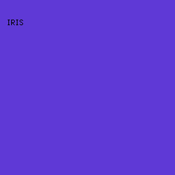 5F39D6 - Iris color image preview