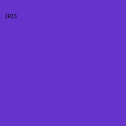 6633cc - Iris color image preview