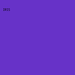 6732C8 - Iris color image preview