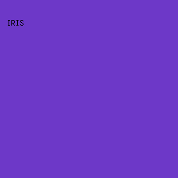 6D38C8 - Iris color image preview