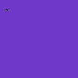 6F38CB - Iris color image preview