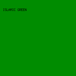 008C00 - Islamic Green color image preview